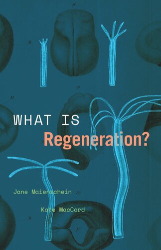 What Is Regeneration? (PDF/EPUB Version)