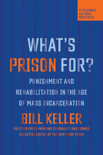 What's Prison For?: Punishment and Rehabilitation in the Age of Mass Incarceration (PDF/EPUB Version)