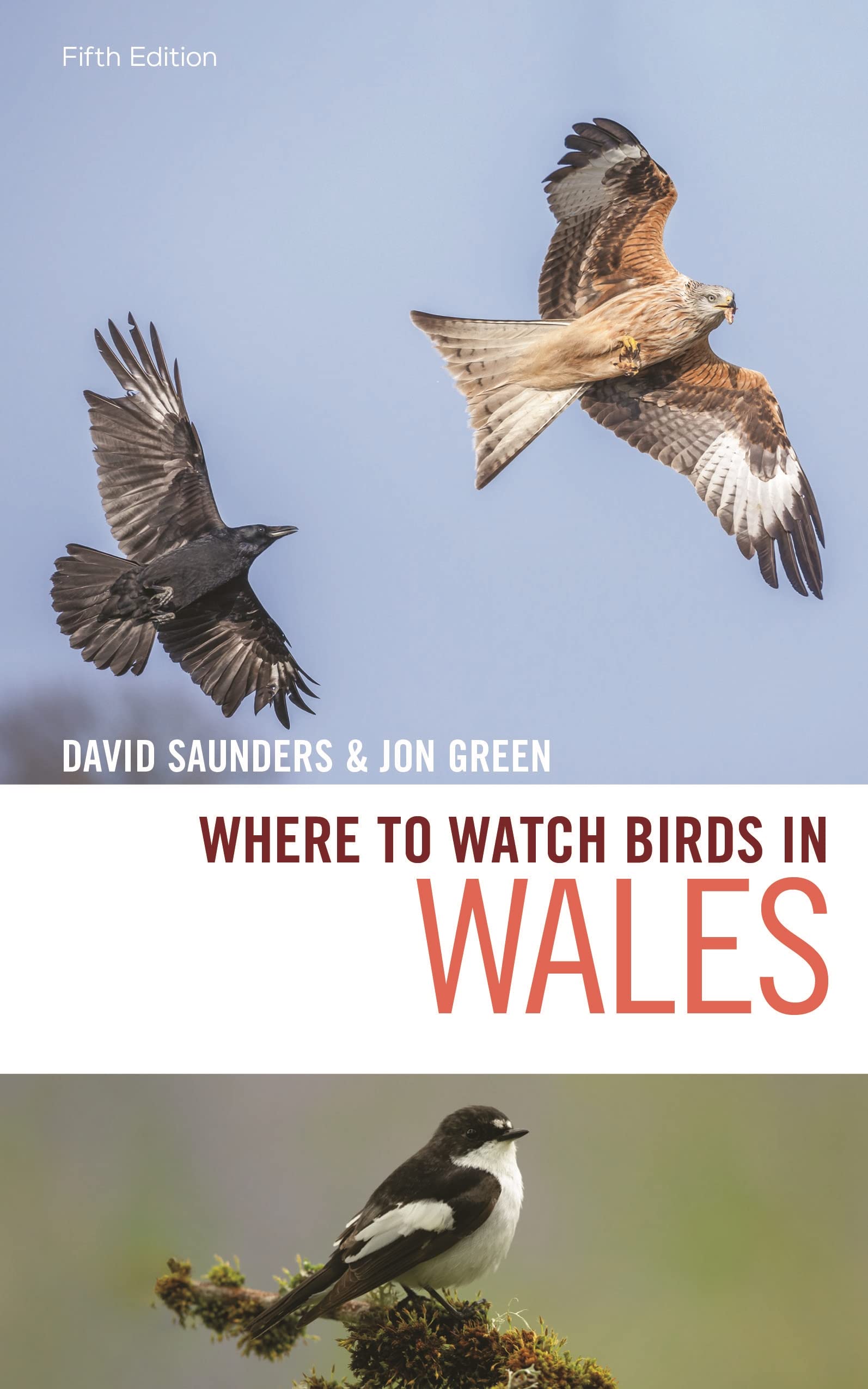 Where to Watch Birds in Wales (PDF/EPUB Version)