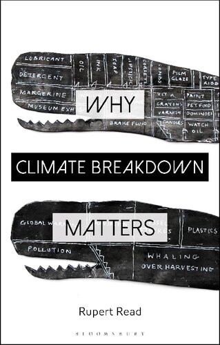 Why Climate Breakdown Matters (PDF/EPUB Version)