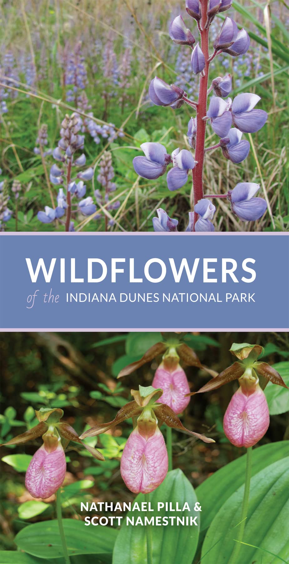 Wildflowers of the Indiana Dunes National Park (PDF/EPUB Version)